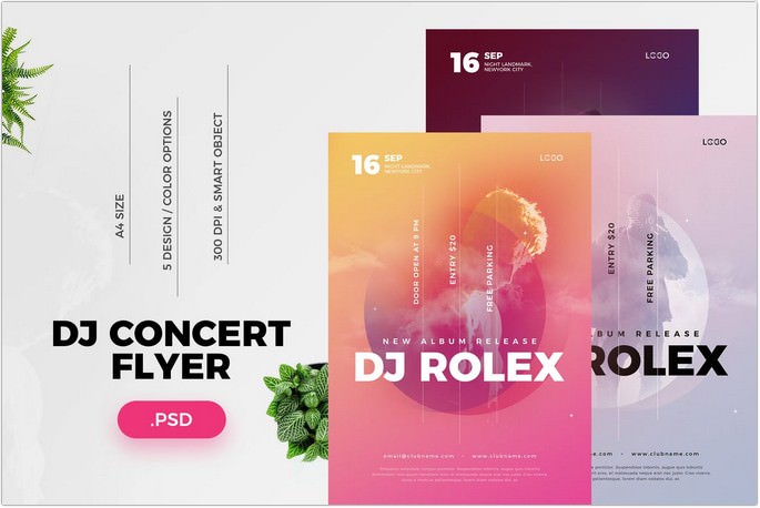 DJ Concert Flyer