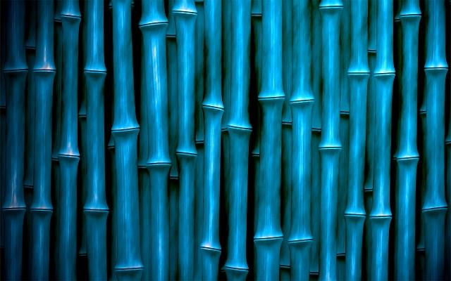 Free Aqua Blue Bamboo wallpaper