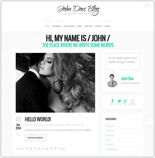 John Doe's Blog - Clean WordPress Blog Theme