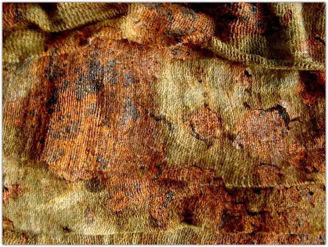 Rusty Fabric Texture