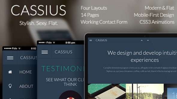 Cassius - Modern & Flat Multi-Purpose Template