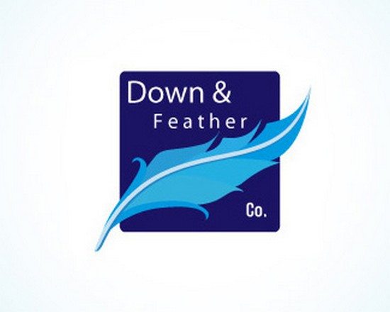 Down & Feather