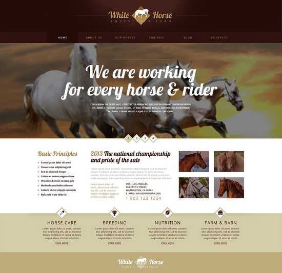Gorgeous Horses WordPress Theme