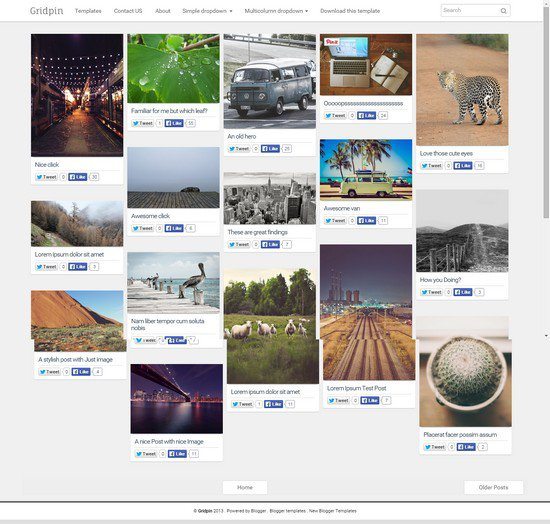 Grid Pin Responsive Masonry Photography Blogger Template