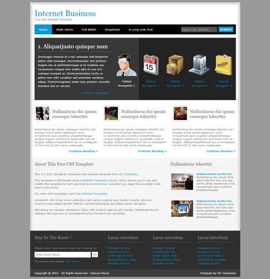INTERNET BUSINESS FREE CSS TEMPLATE