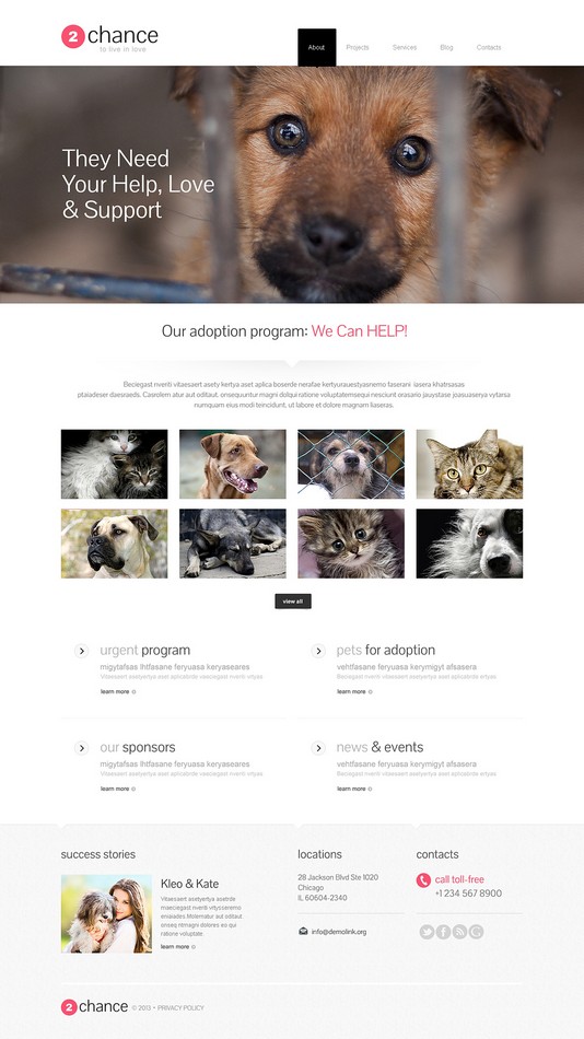 Impressive Animal Shelter WordPress Theme