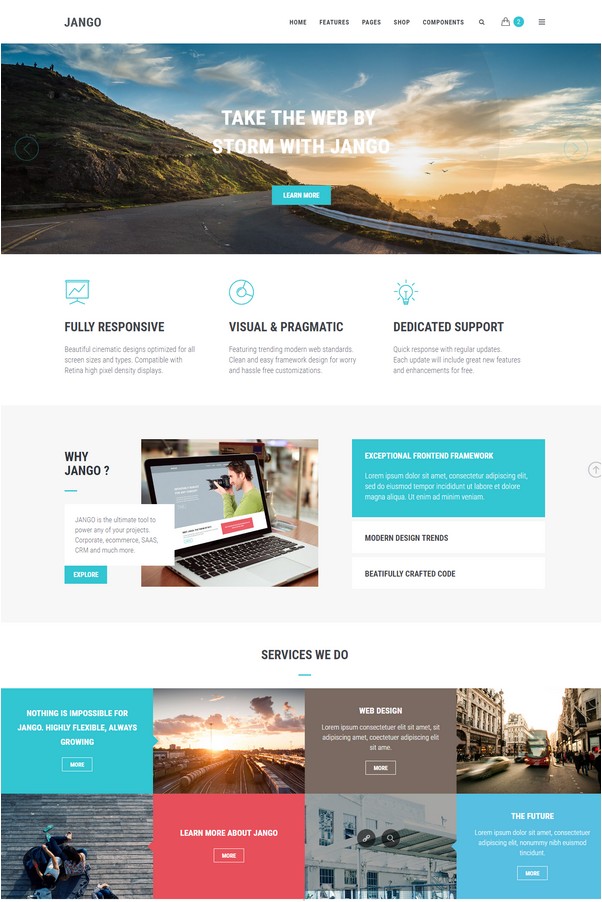 Jango Highly Flexible Component Based HTML5 Template
