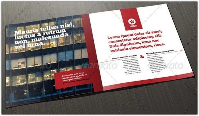 Professional Case Study Brochure Design