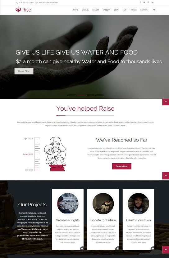 Rise - NGO and Charity Responsive WordPress Theme