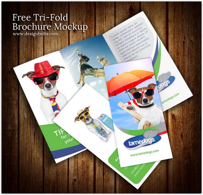 Tri Fold Brochure Mockup PSD
