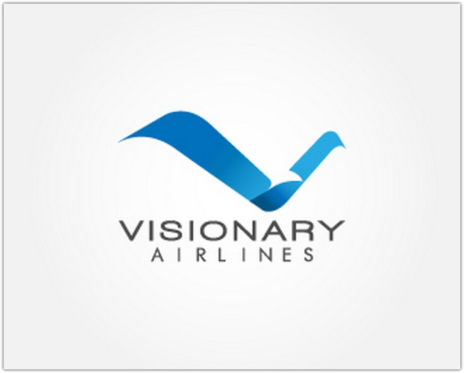 Visionary Airlines