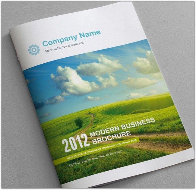 12 page Business Brochure clean style