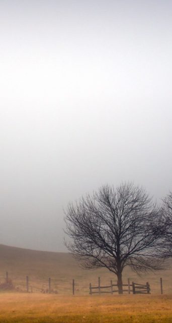 Smog Landscape Iphone Wallpaper