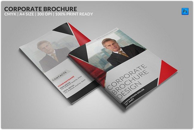 8 Page Corporate Bifold Brochure
