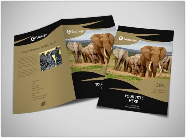 African Safari Brochure Template