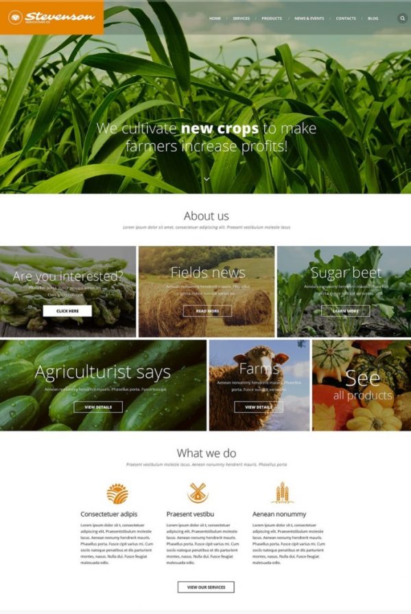 50+ Best Agriculture Website Templates 2020 - Templatefor