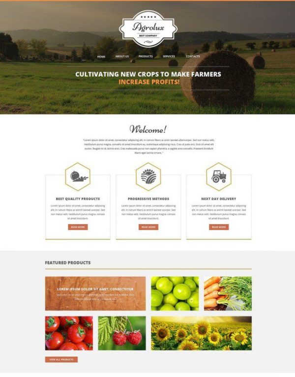 50+ Best Agriculture Website Templates 2020 - Templatefor