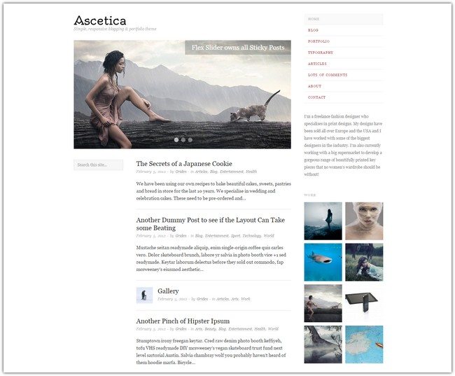 Ascetica WordPress Theme