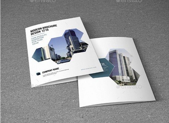 Bifold Brochure for Business-V161