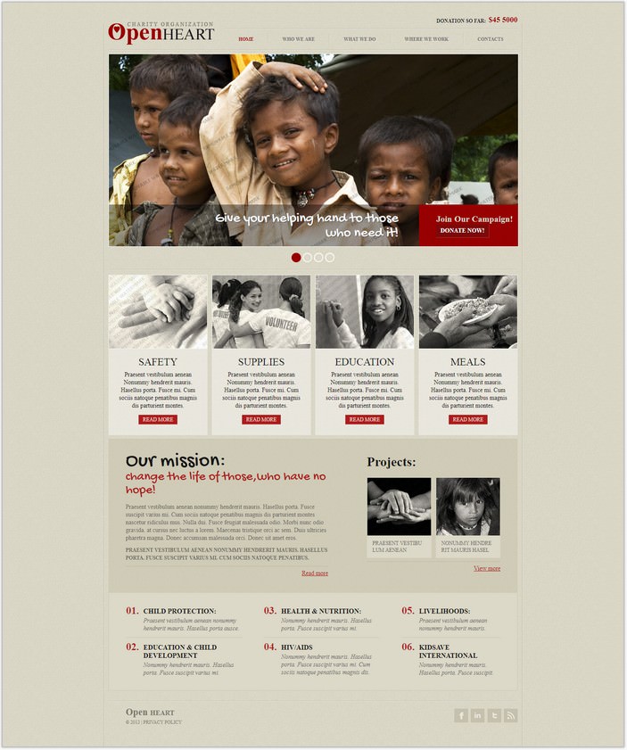 Charity Responsive Website Template