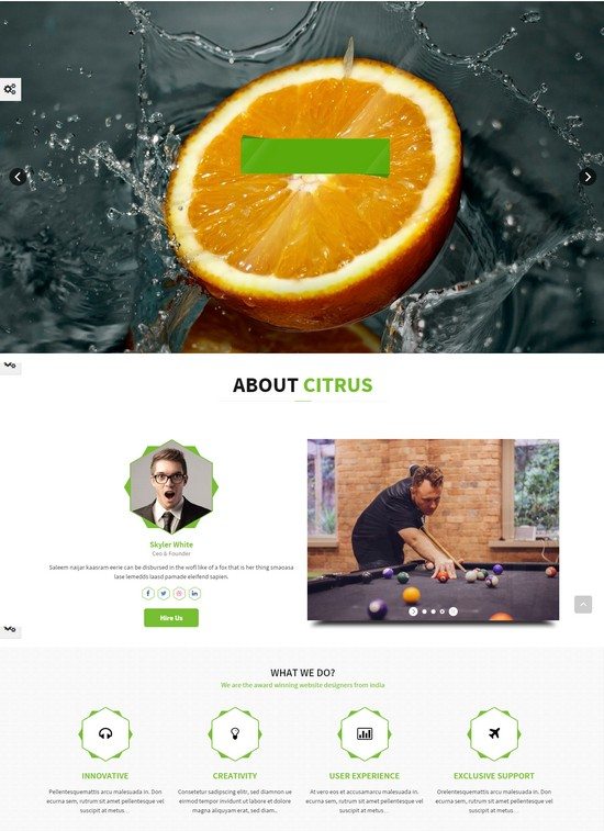 Citrus - Creative One Page Multi-Purpose Theme
