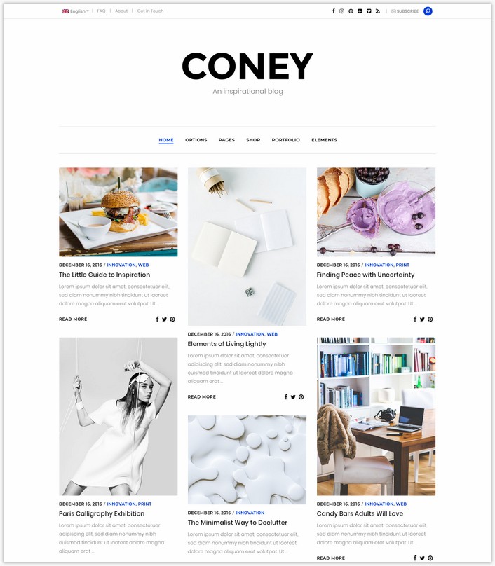 Coney - A Trendy Theme for Blogs and Magazines