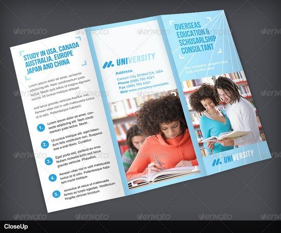 Education TriFold Brochure Volume 1
