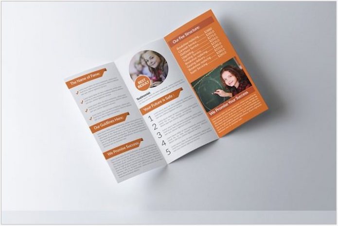 Education and Business Tri Fold