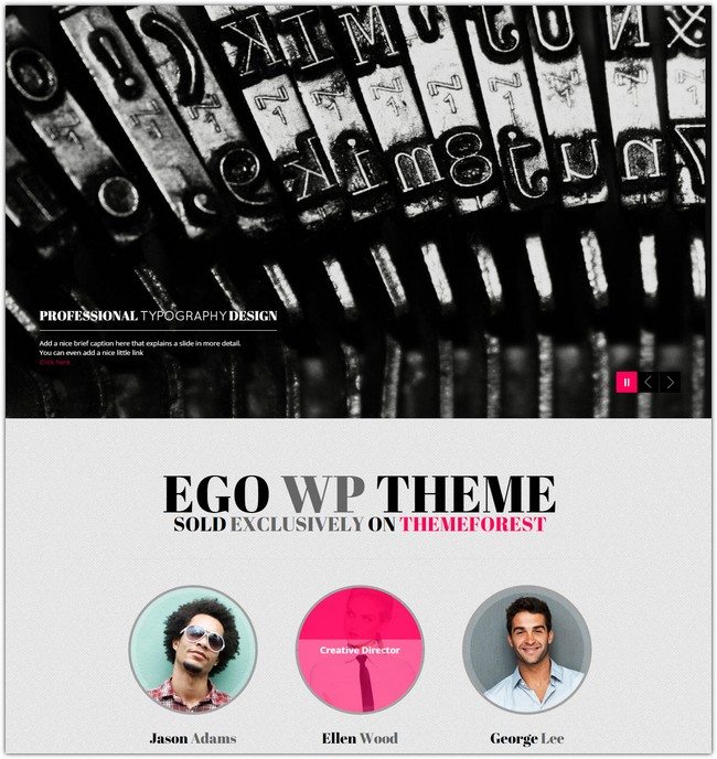 Ego Onepage Parallax Responsive WordPress Theme
