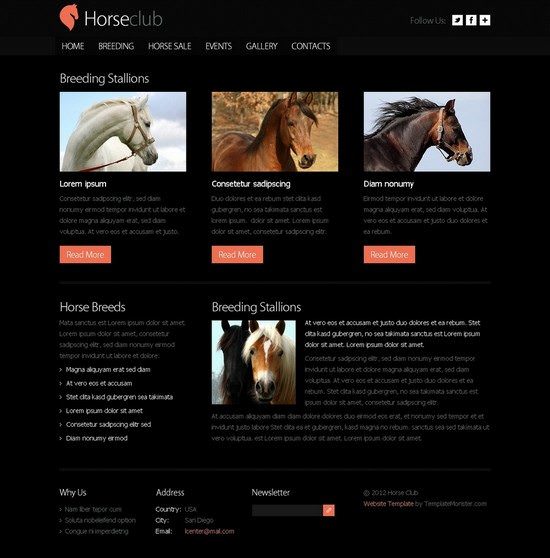 Free Website Template - Horse Club