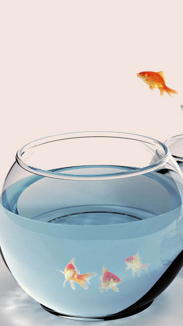 Iphone-fish-aquarium-gold-splashing-jumping