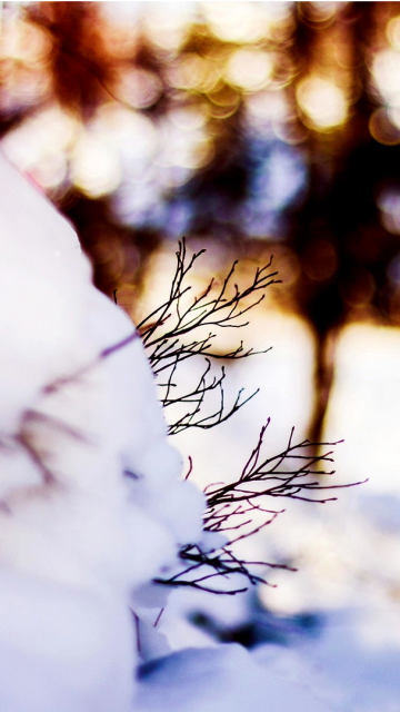 Iphone snow twigs winter Wallpaper