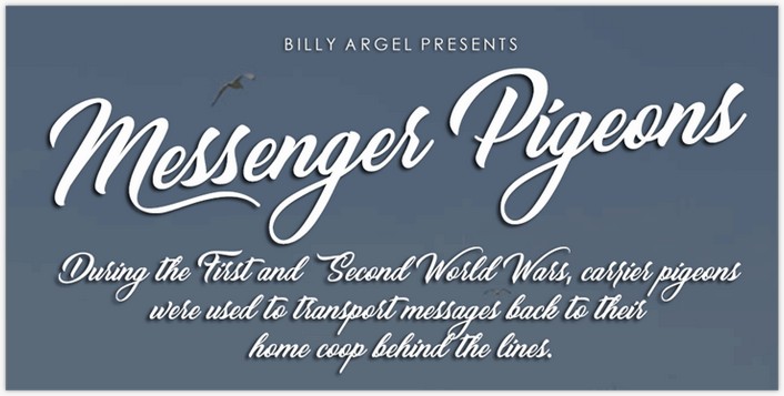 Messenger Pigeons - by Billy Argel