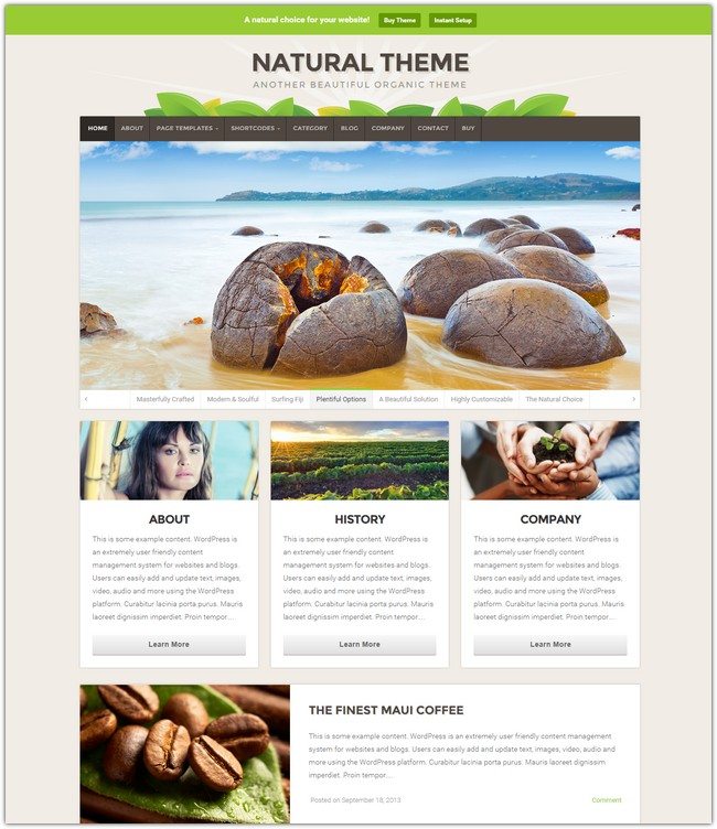 Natural WordPress Theme