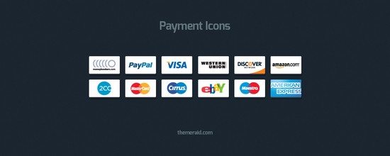 Online Payment Icons