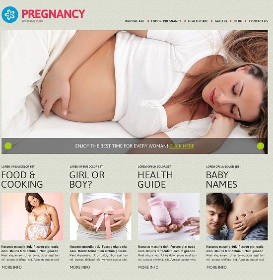Pregnancy Responsive WordPress Theme