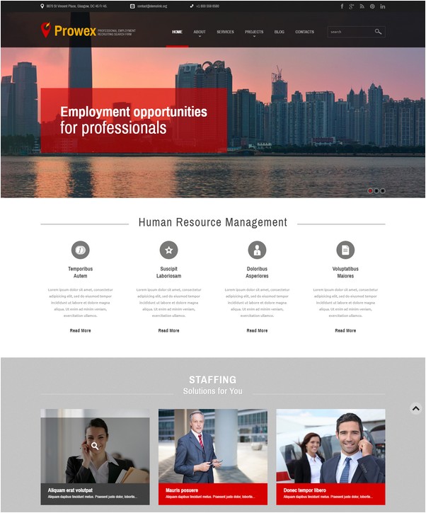 Professional Employment WordPress Theme
