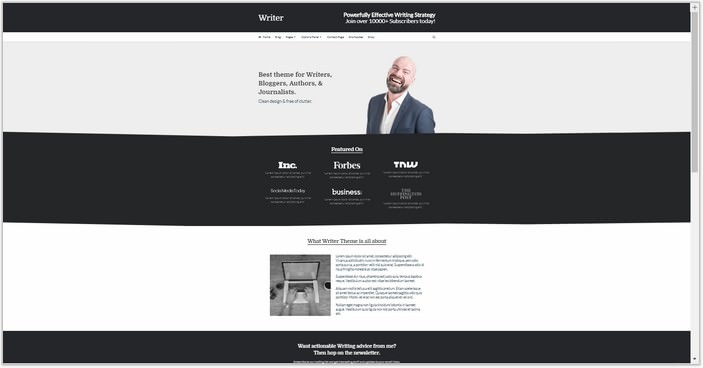 Professional PHP WordPress Theme for Writers