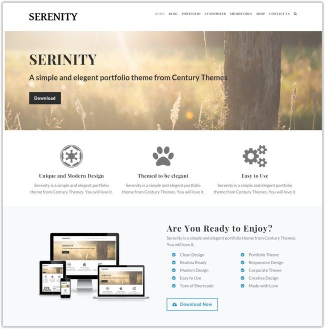 Serenity Creative WordPress Theme