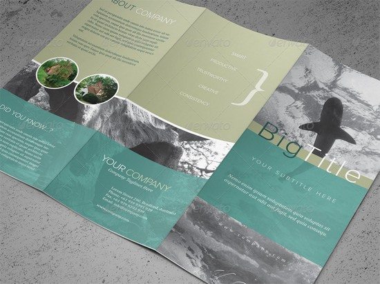 Tri-fold Brochure PSD Template