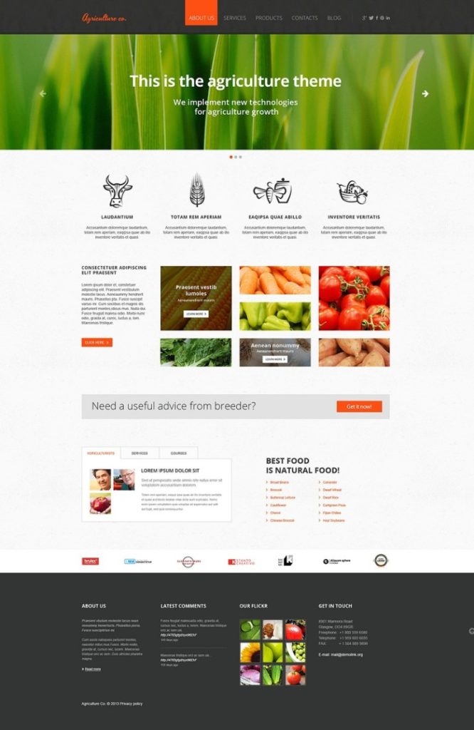 Vegetable Responsive Website Template