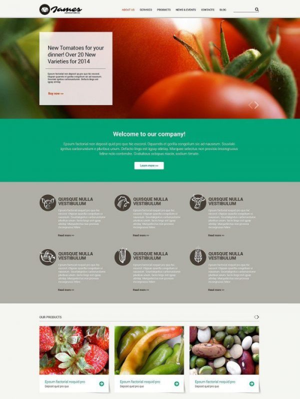 50+ Best Agriculture Website Templates 2020 - Templatefor