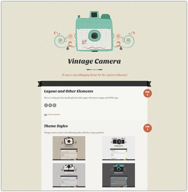 Vintage Camera WordPress Theme