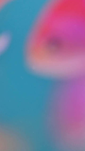 fish-blur-background-iphone