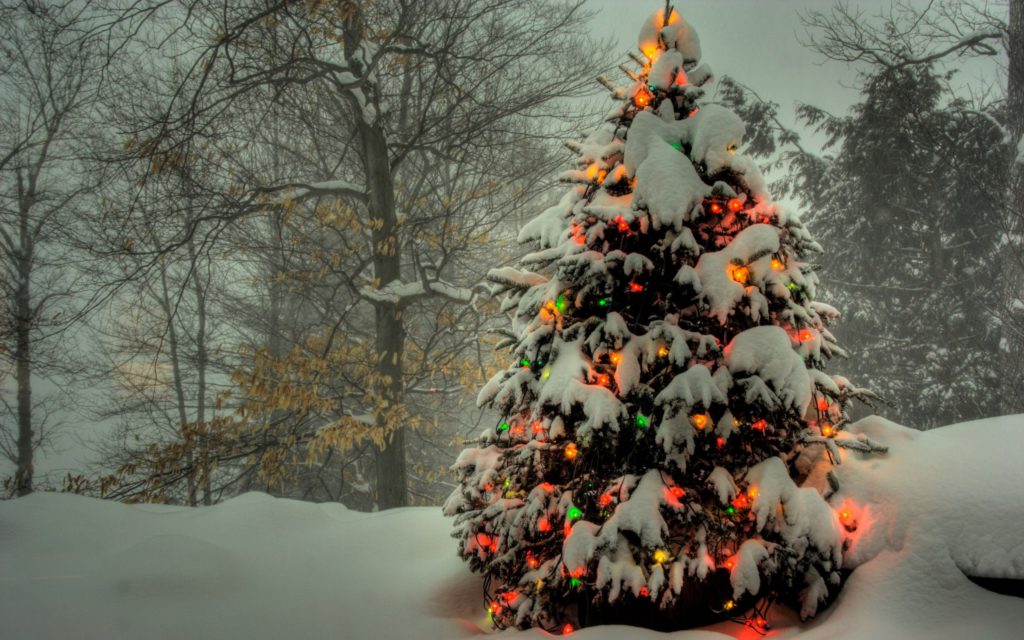 christmas tree with lights and snow