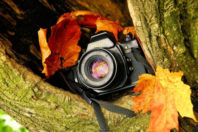 Camera-HD-Wallpaper-Near-Autumn-Leaf-1920 × 1280