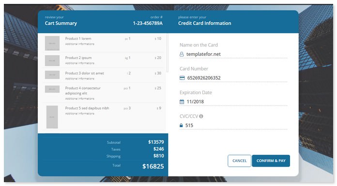 Checkout Form with Payment Summary