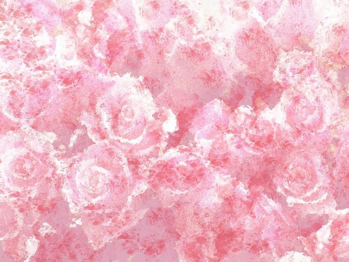 Pink Roses Texture