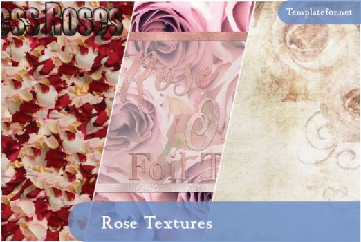 rose textures