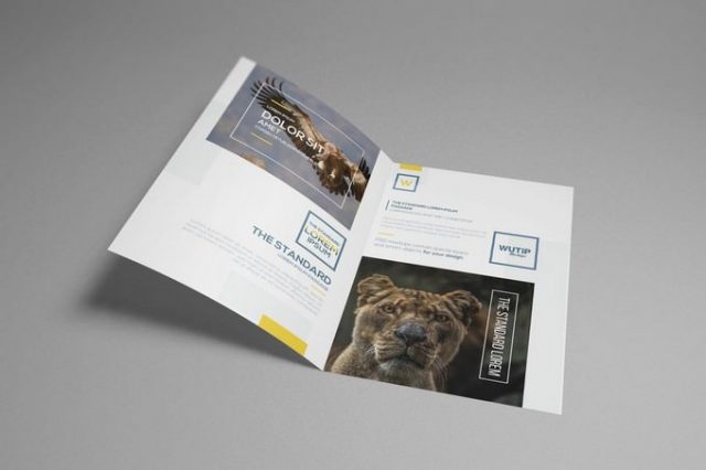 Bi-Fold A4 Brochure Mockups